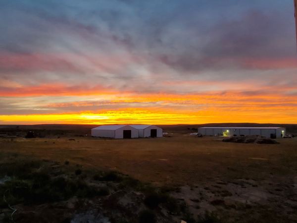 Hemp extraction facility exterior at sunset